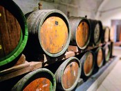 TÖSH Distillery –
muzeum a palírna whisky, Těšetice Image