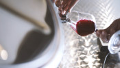 Degustačná ochutnávka vo vinárstve