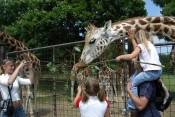 Zoo Olomouc – Svatý Kopeček